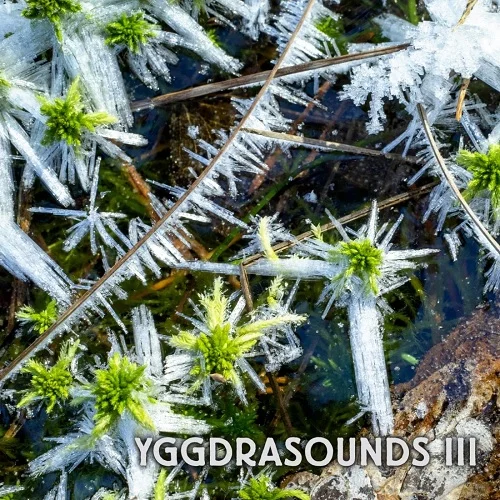 Yggdrasounds III (2022)