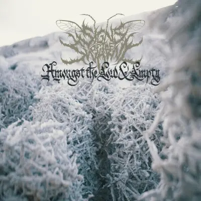Signs of the Swarm - Amongst The Low & Empty (2023)