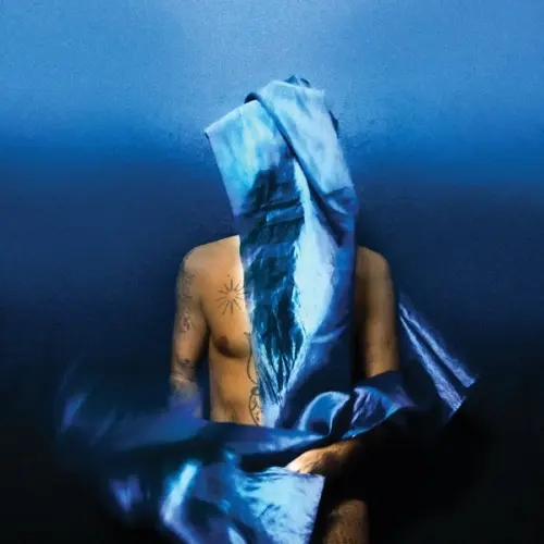 Devendra Banhart - Flying Wig (2023)