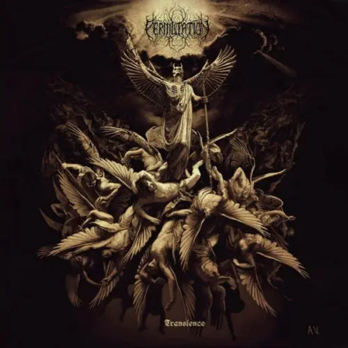 Permutation - Transience (2023)